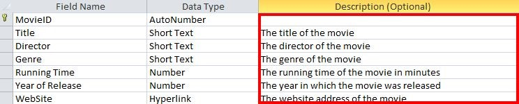 Commenting a Microsoft Access database in Design View